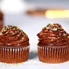 Chocolate  Sprinkles  Cupcake