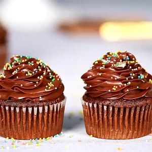 Chocolate  Sprinkles  Cupcake