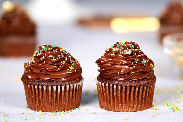 Chocolate  Sprinkles  Cupcake