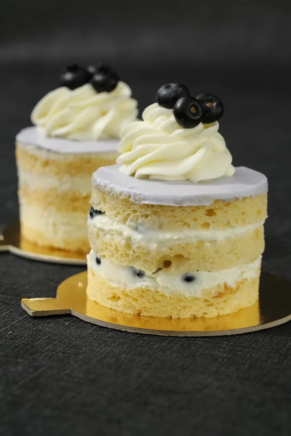 Delicious Blueberry