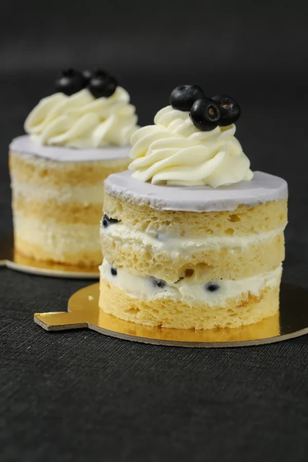 Delicious Blueberry - Image 3