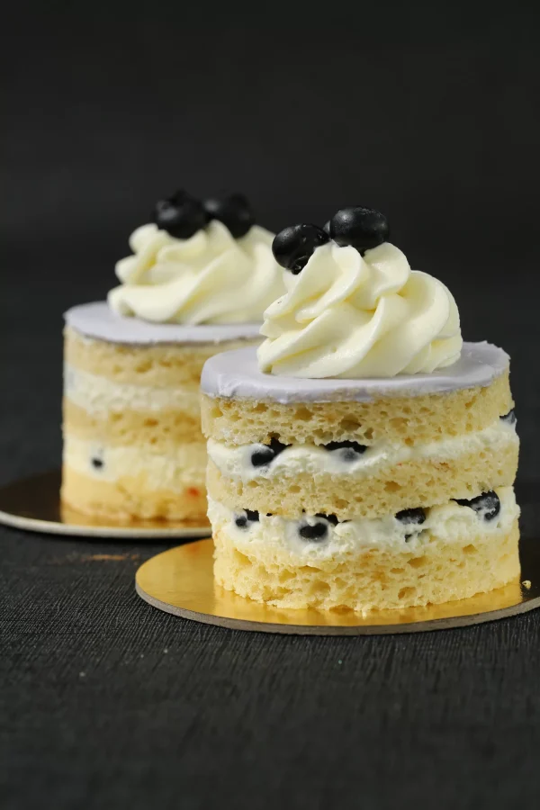 Delicious Blueberry - Image 4