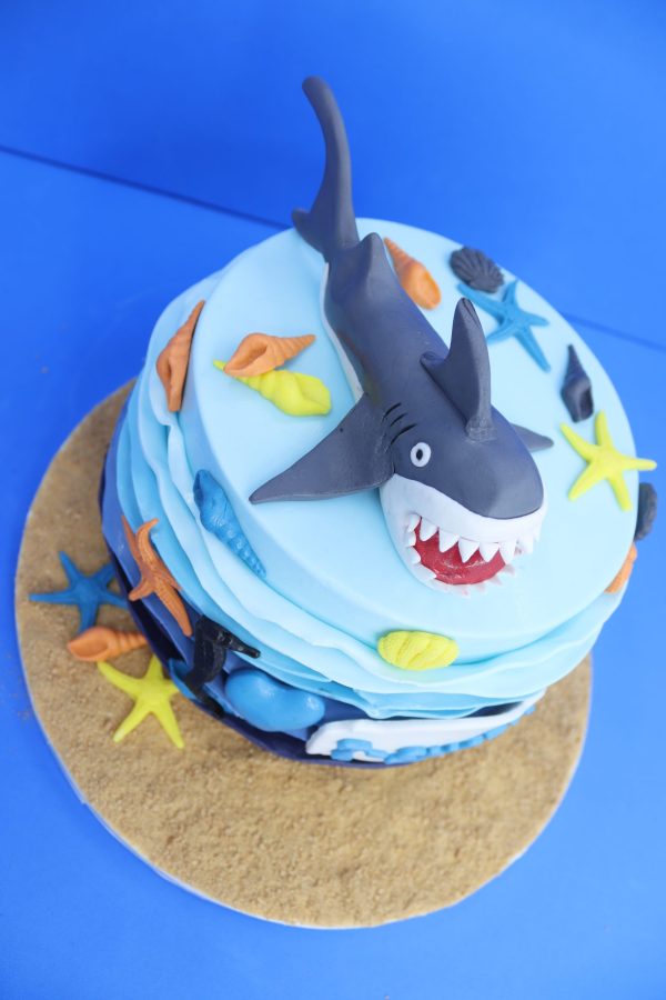 T Shark - Image 6