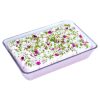 Special Rose Eid Milk Cake