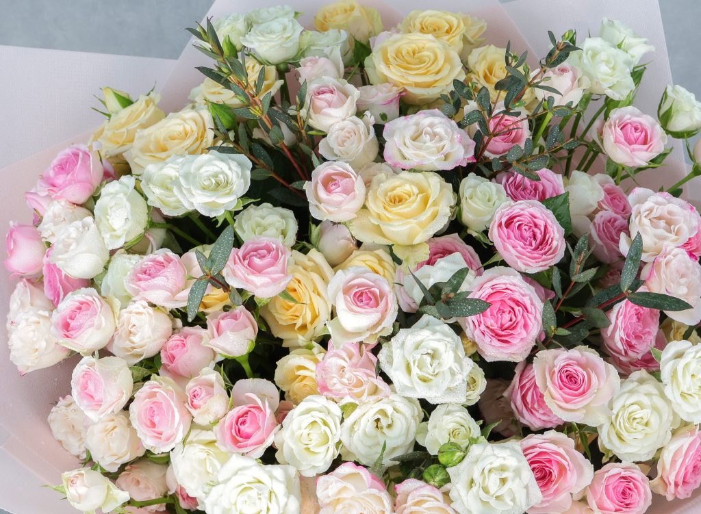 Dewkissed Roses - Image 3