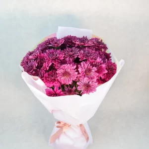 Violet Sunny Flower