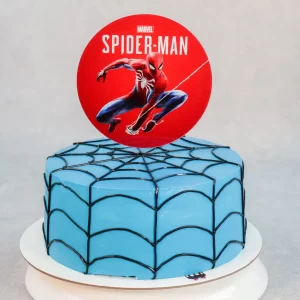 Spider Web cake