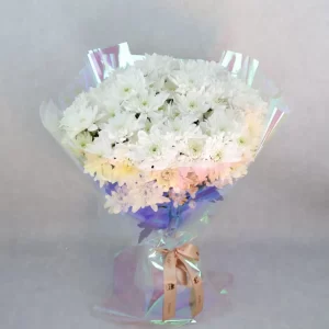 White Serenity 10Pcs