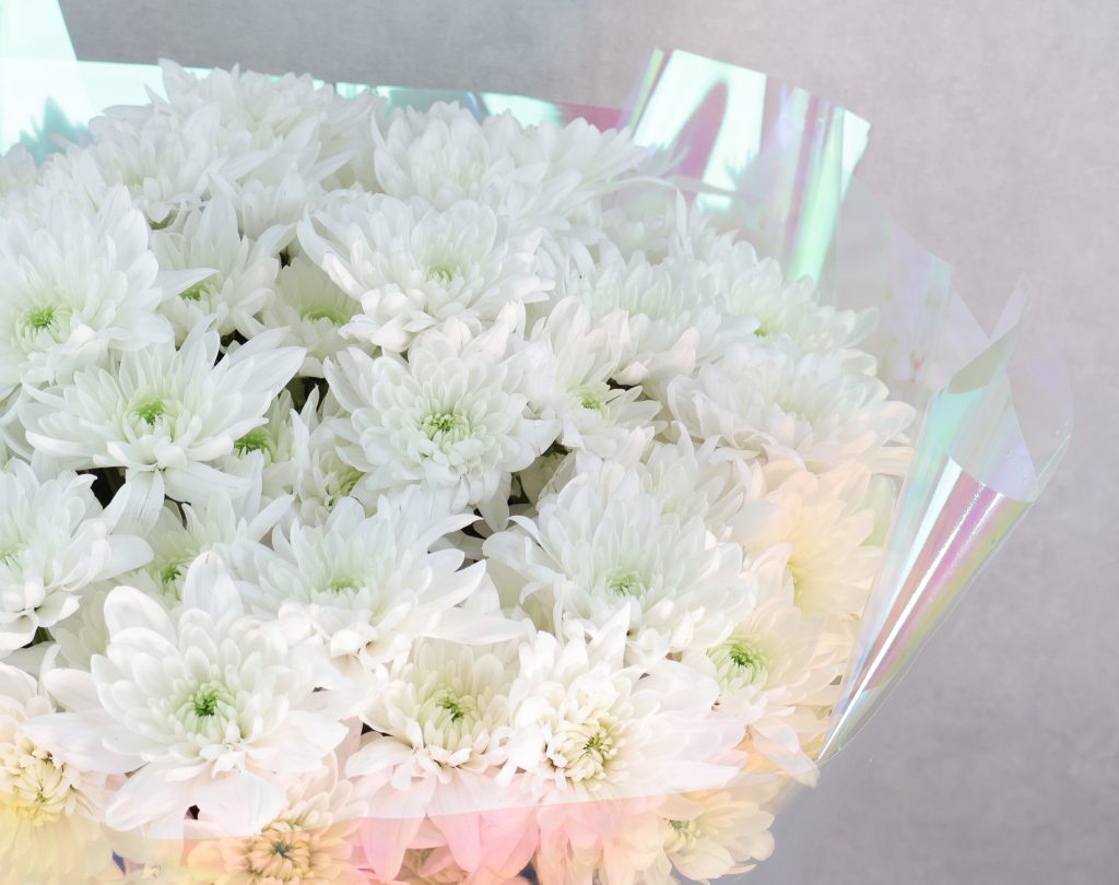 White Serenity - Image 2