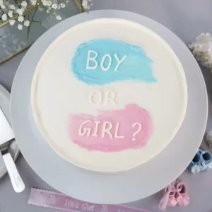 Boy or Girl Cake