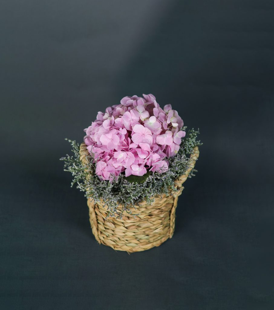 Rosewater Bloom - Image 2