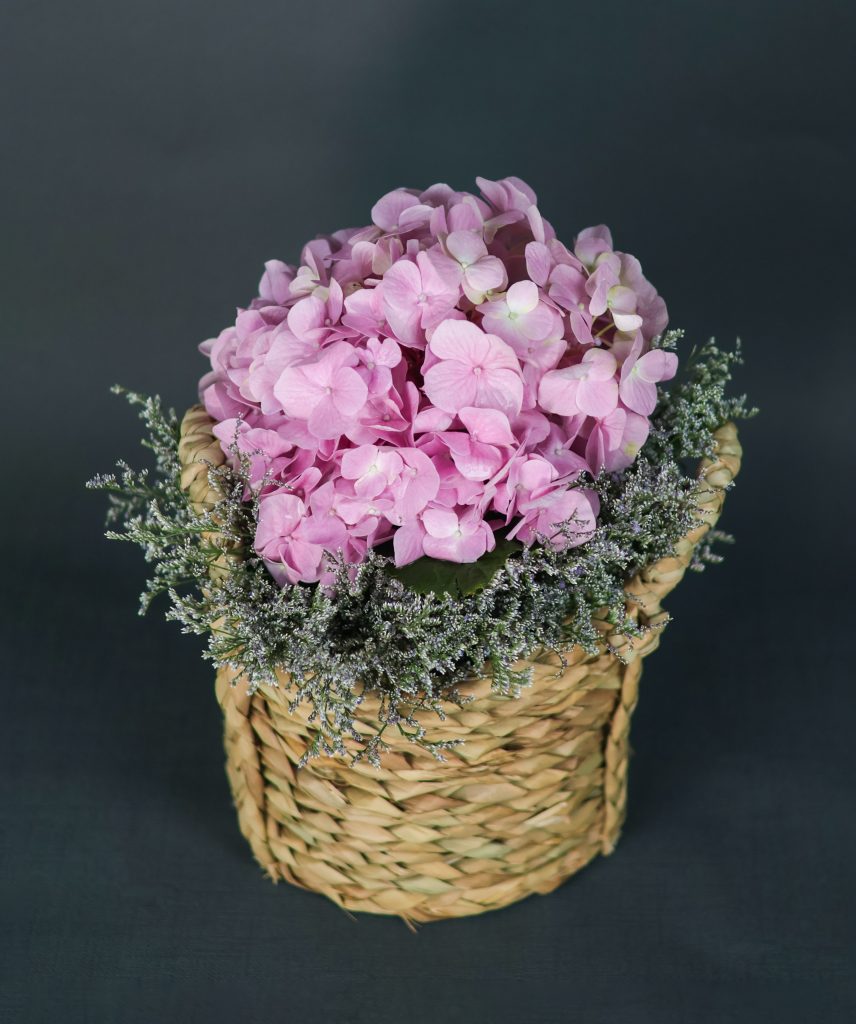 Rosewater Bloom - Image 4