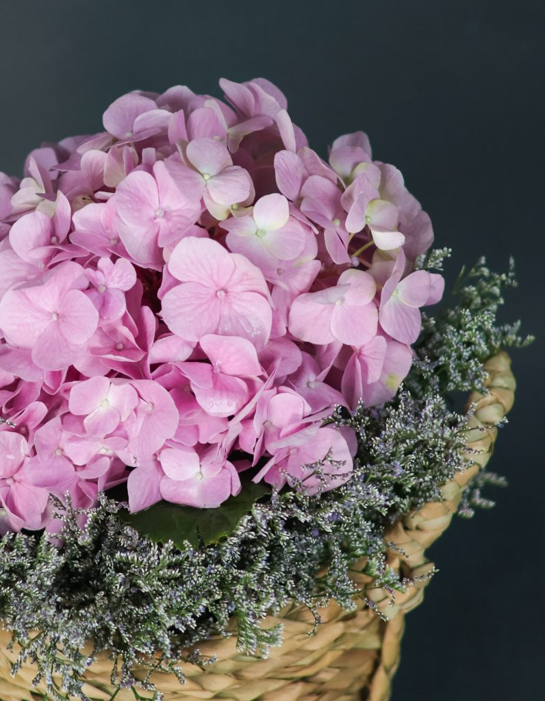 Rosewater Bloom - Image 3