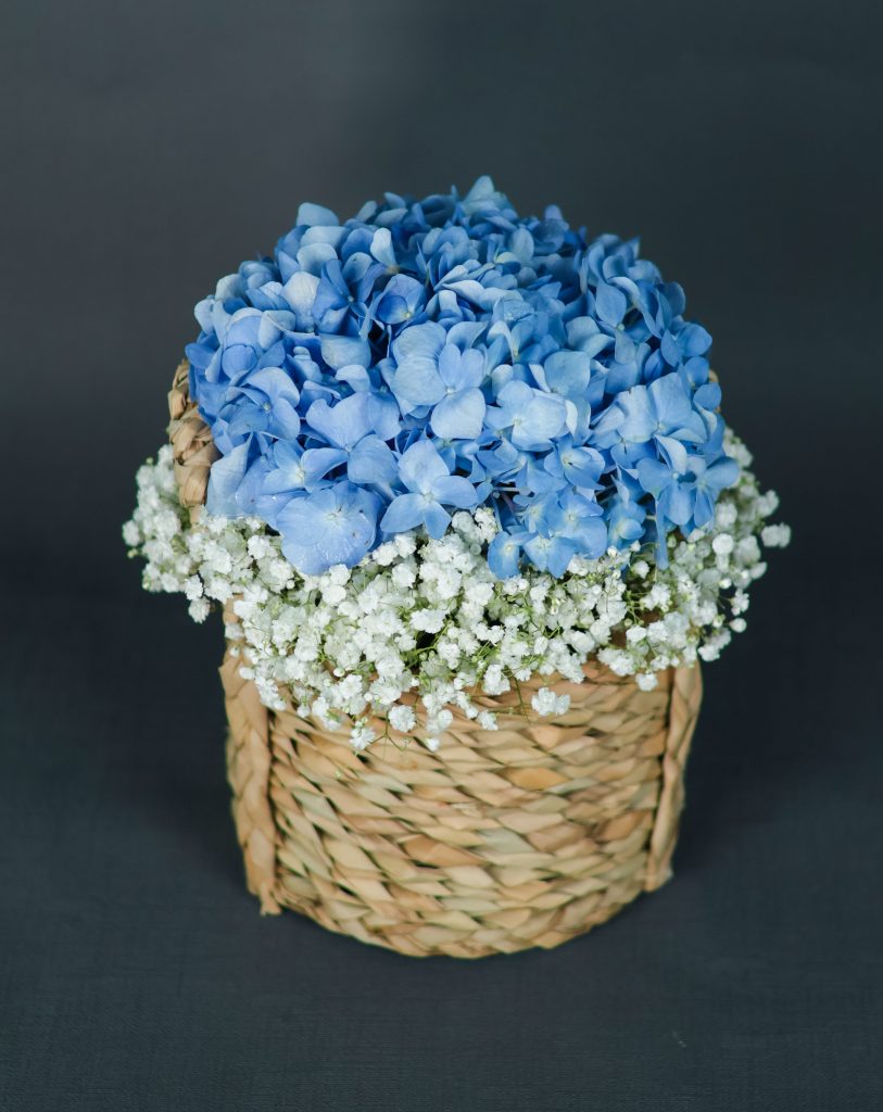 Azure Dreams - Image 4