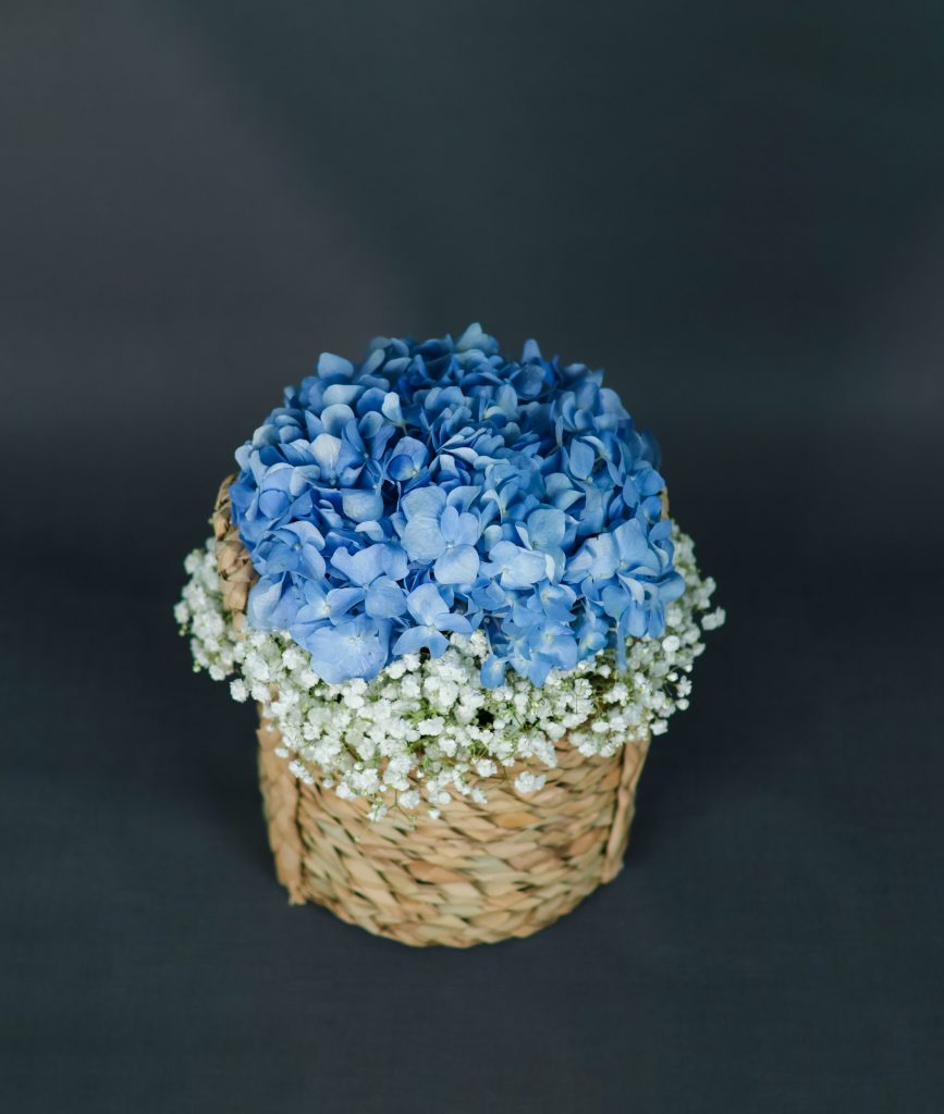 Azure Dreams - Image 2