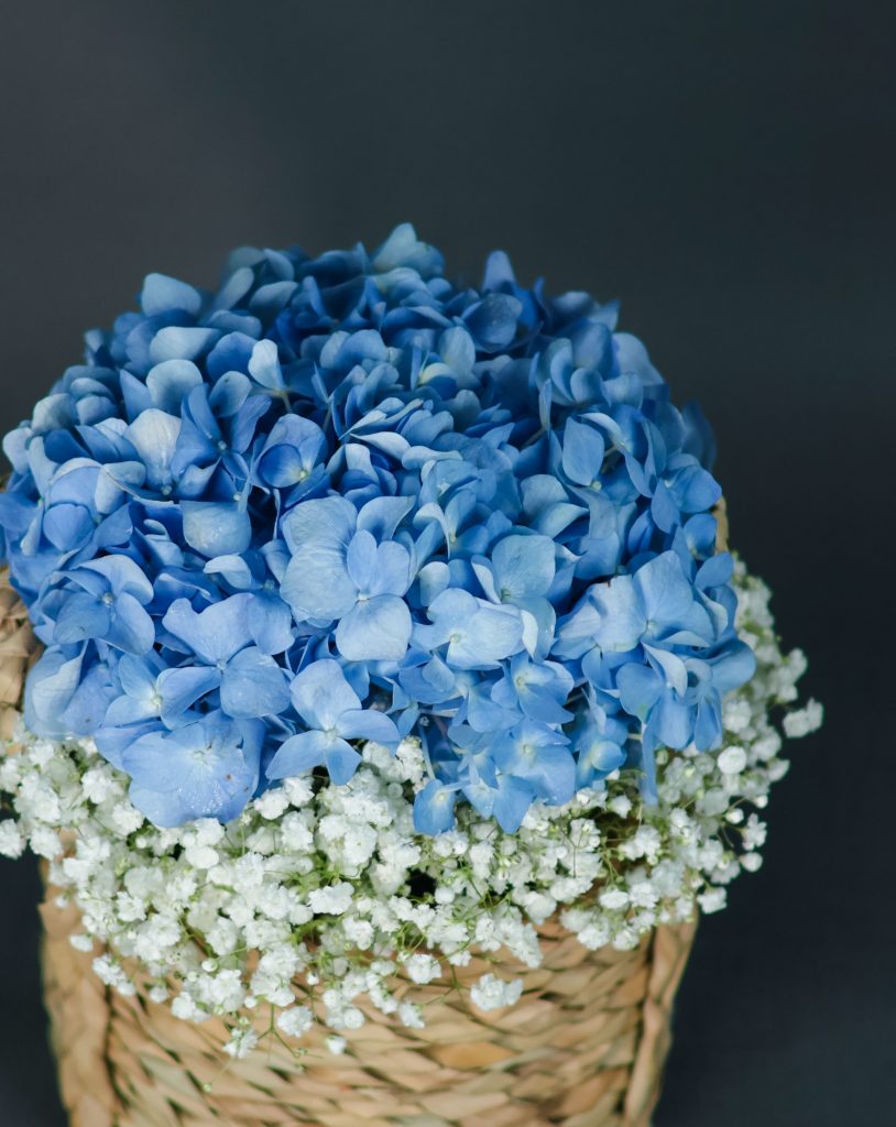 Azure Dreams - Image 3